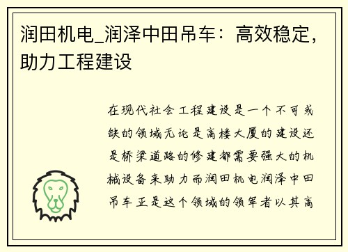润田机电_润泽中田吊车:高效稳定,助力工程建设